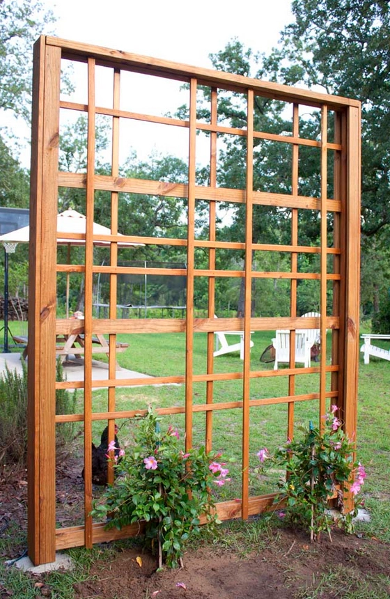 Wooden garden trellis' are the most well-known, and can often be made of pressure-treated timber.