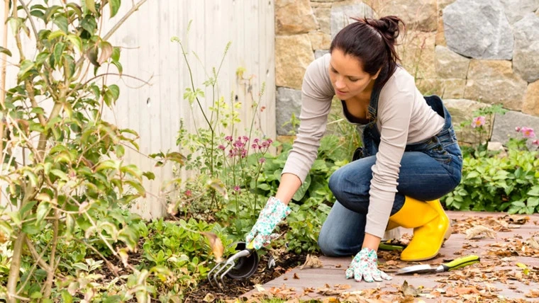 A woman using a rake to clean her patio free of stray plants and brushes to prepare for the winter time ahead.