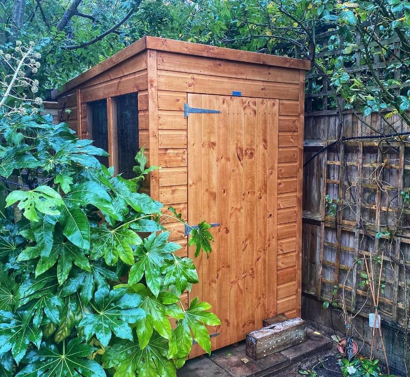 a wooden timber garden shed amongst shrubbery and bushes and fencing.