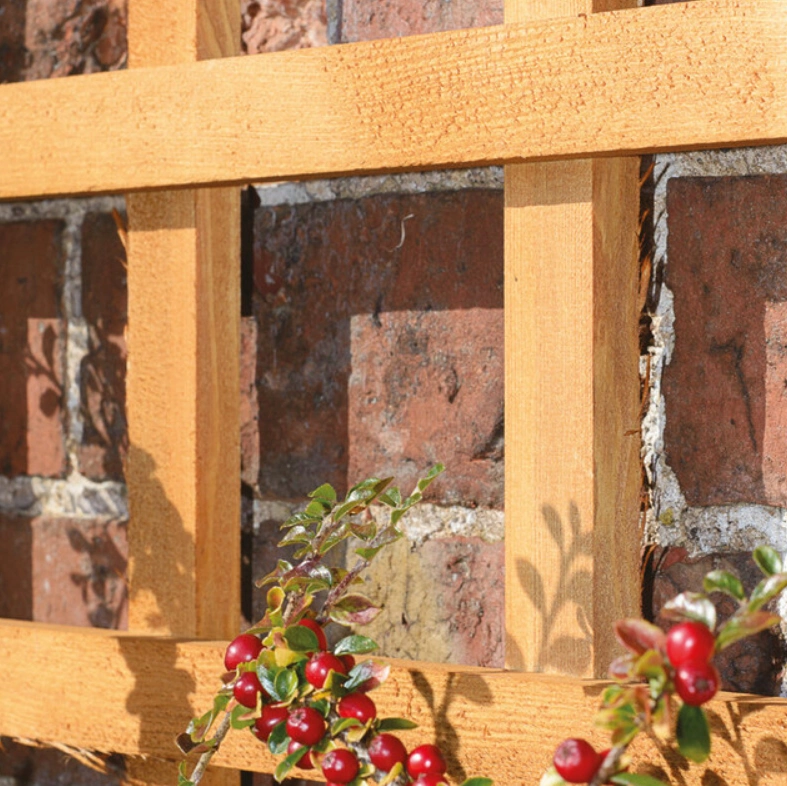 There are so many different things you can do with a garden trellis, and so many types.