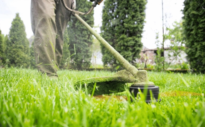 As the temperatures rise, spring lawn care is incredibly important.