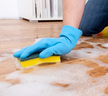 an image of a woman using sponge to clean laminate floor