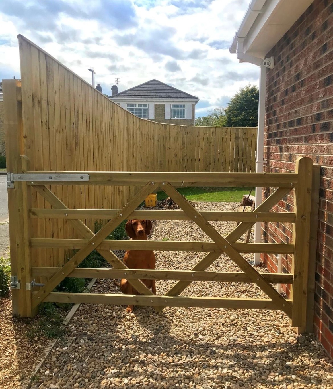 an image of a wooden gate on the side of a home with a dog behind it