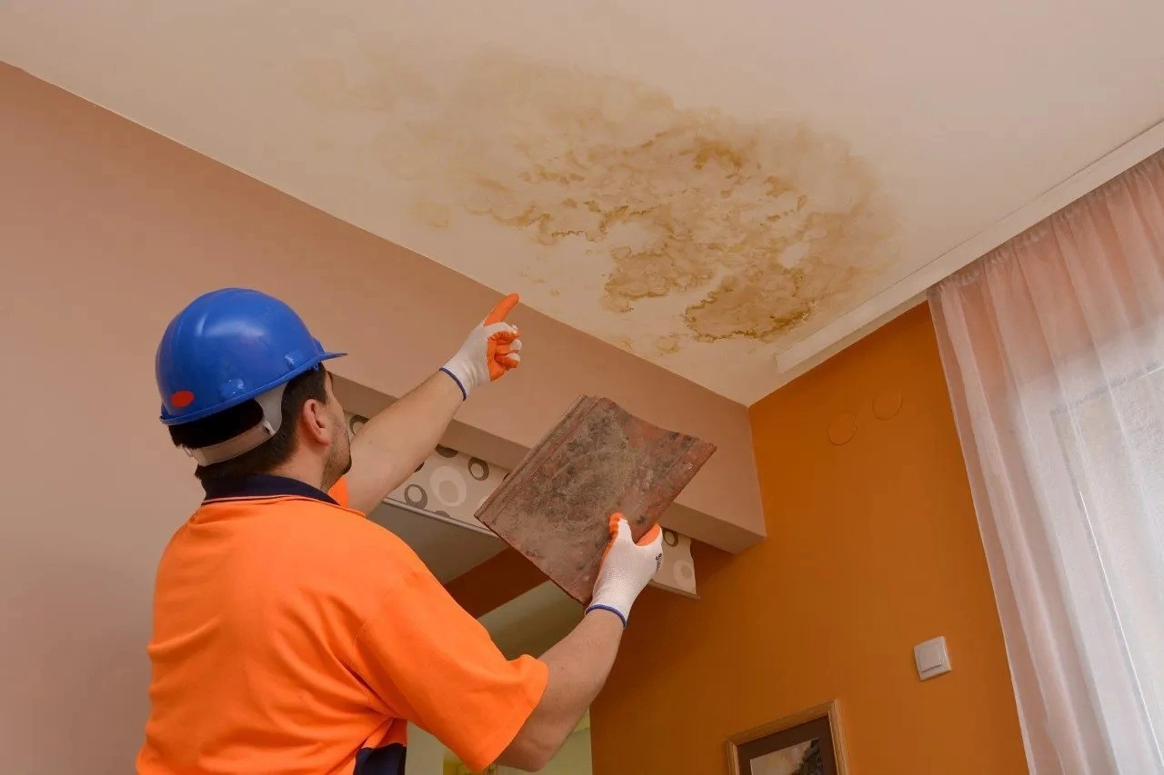 A man pointing at a damp patch on the ceiling, which could indicate a leaking roof.