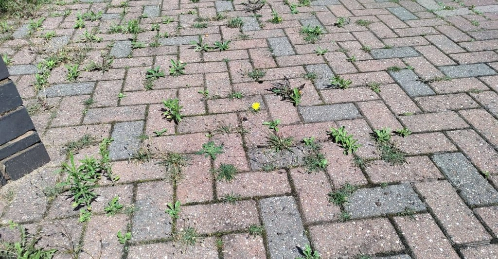 Now that you’ve laid your block paving, proper maintenance is essential to keep it looking its best.