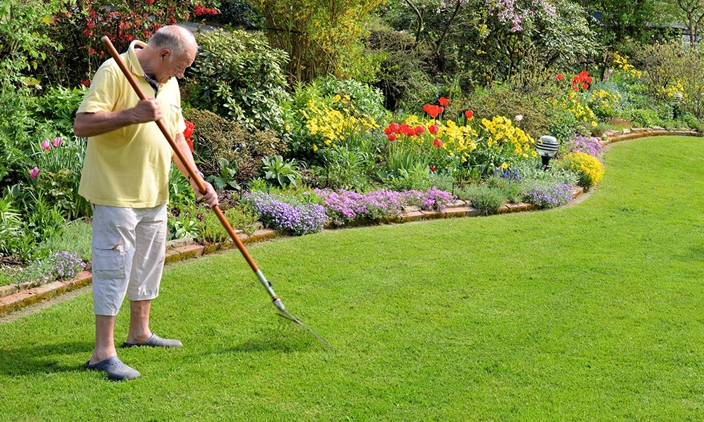 Remember to inspect your lawn thoroughly and look for signs of water damage. 