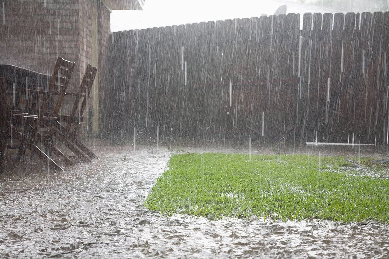 Fencing in the rain and bad weather. Do not paint a fence when it is forecasted to be rainy. 