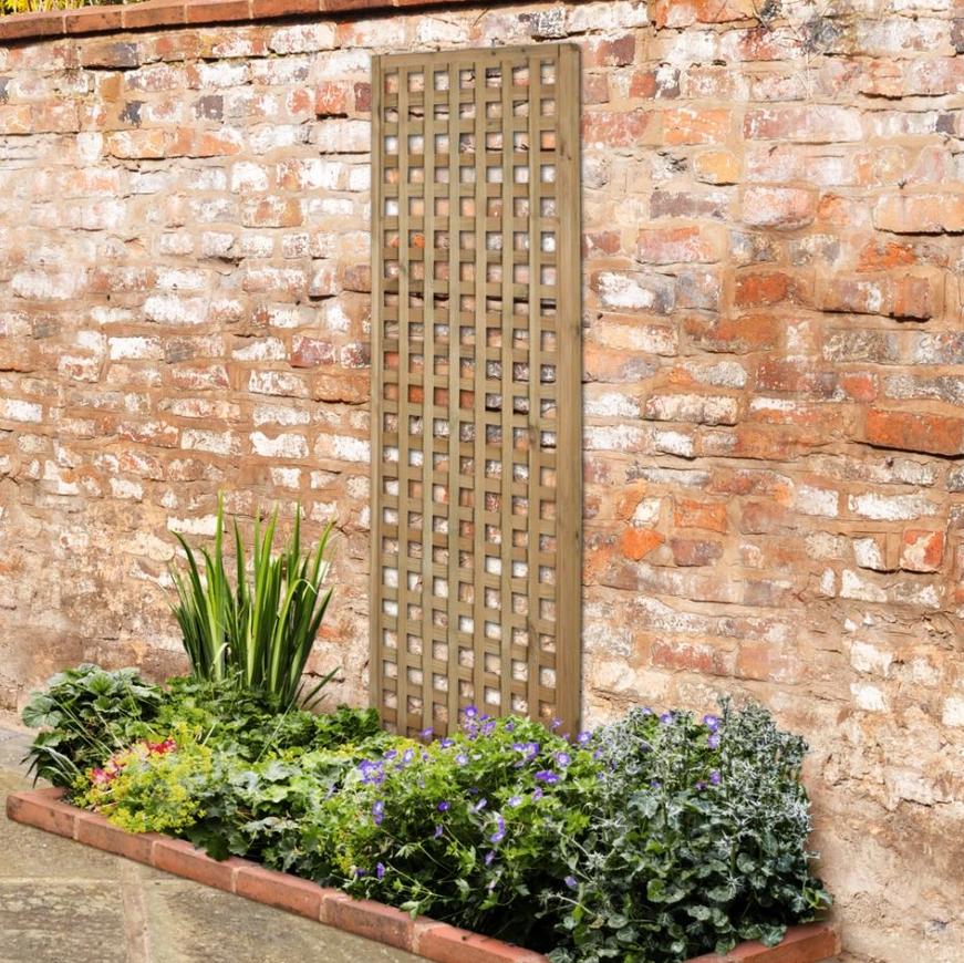 A garden trellis is a lattice framework, and can be used for a variety of different reasons.