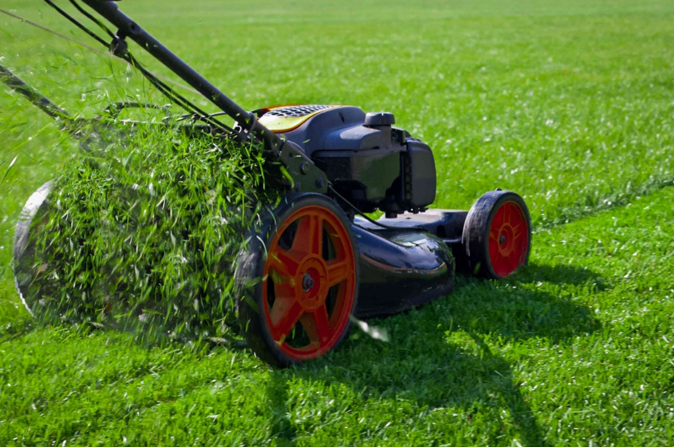 It's best to start mowing the lawn once the grass begins to grow - which is usually mid-March.