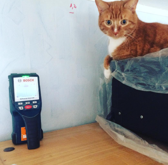 an image of a wire detector with orange cat