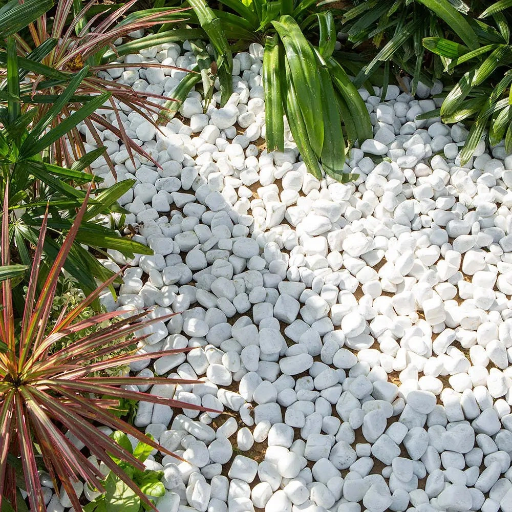 White garden stones nestled amid lush greenery, adding elegance to the garden landscape.