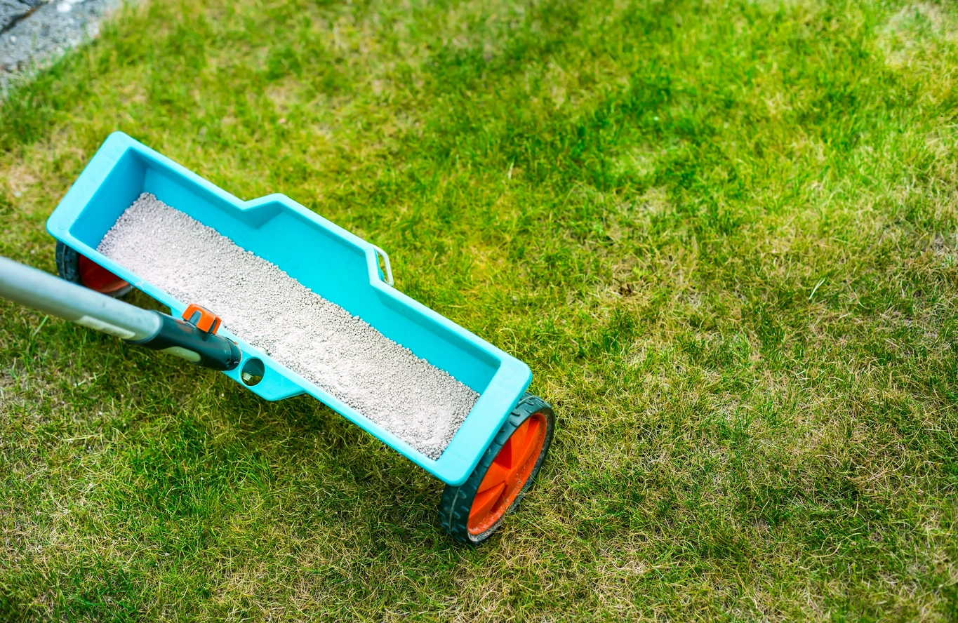 Spring lawn feed replenishes nutrients that have been lost over the winter period. 