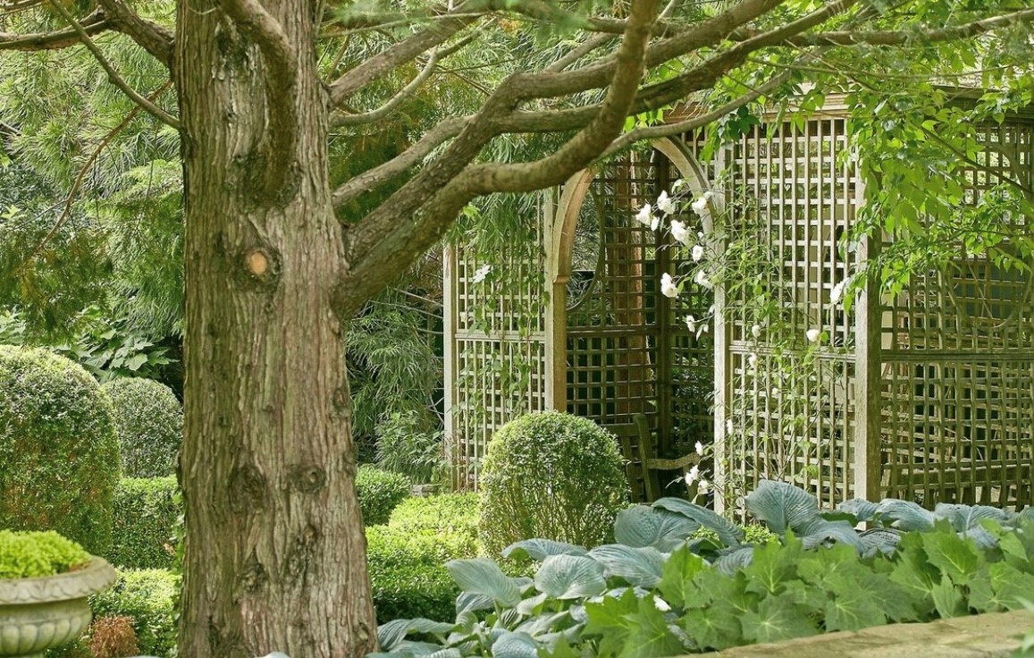 an image of a flowery garden arch, with trees and plants everywhere